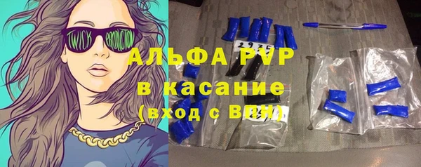 стафф Козельск