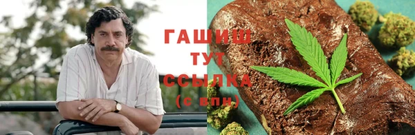 стафф Козельск