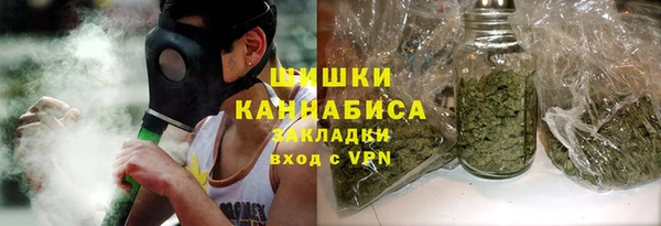 дурь Киреевск